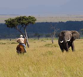 safari kenya