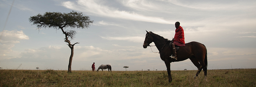 Safari au Kenya