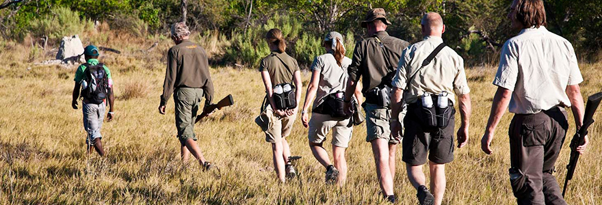 bagages pour un safari