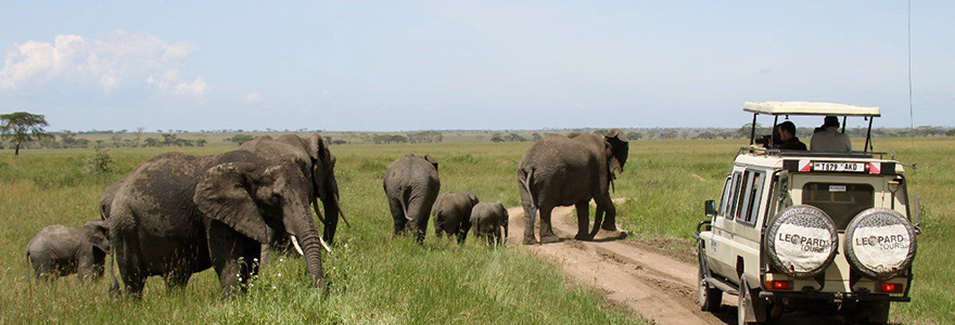 la voiture du safari